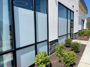 Privacy Window Films